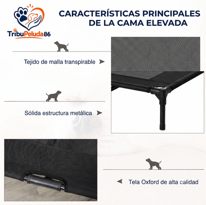 Cama Elevada para Perros Interior y Exterior — Transpirable, Estructura Metálica | PawHut