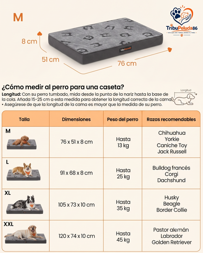 Cama Ortopédica para Perros Impermeable y Lavable — Espuma Corrugada Feandrea | Tallas M a XXL