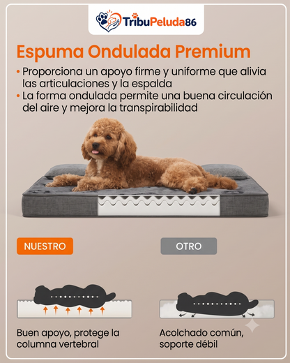 Cama Ortopédica para Perros Impermeable y Lavable — Espuma Corrugada Feandrea | Tallas M a XXL