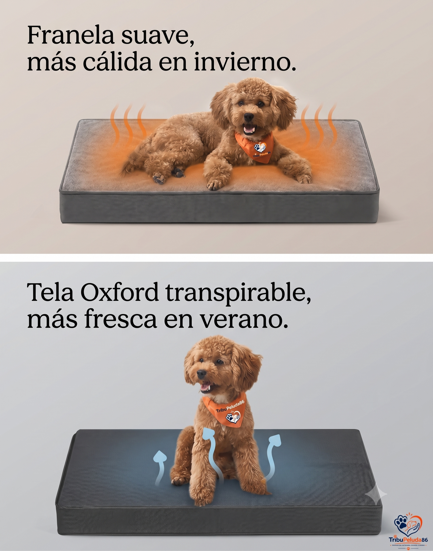 Cama Ortopédica para Perros Impermeable y Lavable — Espuma Corrugada Feandrea | Tallas M a XXL