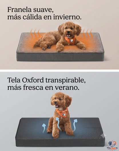 Cama Ortopédica para Perros Impermeable y Lavable — Espuma Corrugada Feandrea | Tallas M a XXL