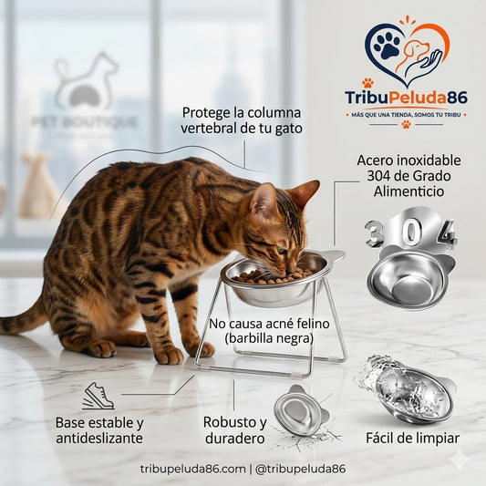Comedero Antireflujo Gatos Elevado | Acero Inoxidable 304