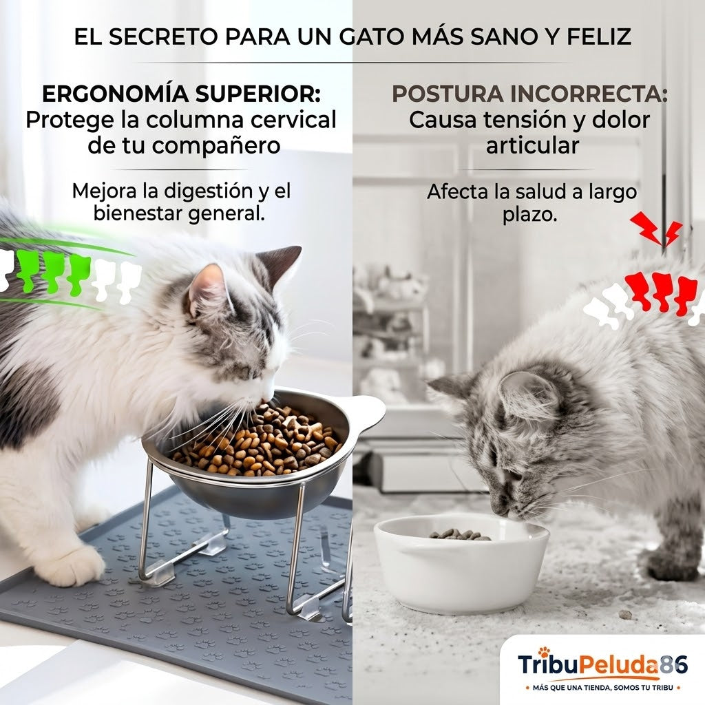 Comedero Antireflujo Gatos Elevado | Acero Inoxidable 304