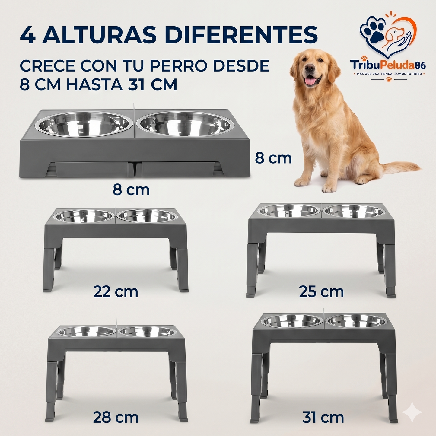 Comedero Elevado Ajustable para Perros - Acero Inoxidable