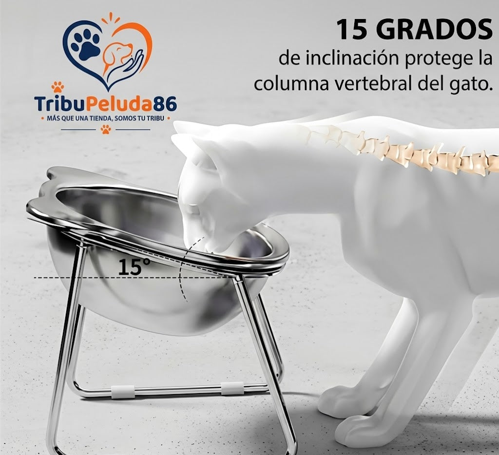 Comedero Antireflujo Gatos Elevado | Acero Inoxidable 304