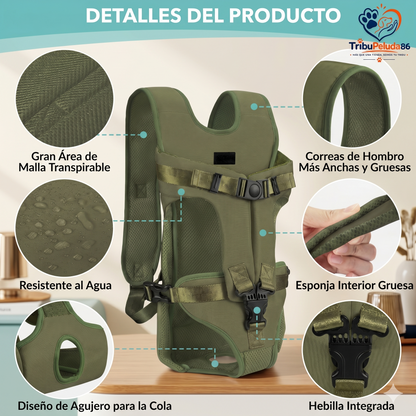 Mochila transportadora frontal para gatos — vista desde arriba con mascota