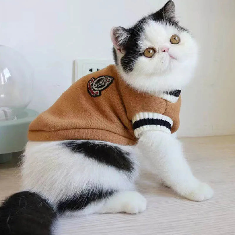 Jersey de Punto para Gatos y Perros Pequeños — Suéter de Invierno Cálido y Elástico | 8 Colores
