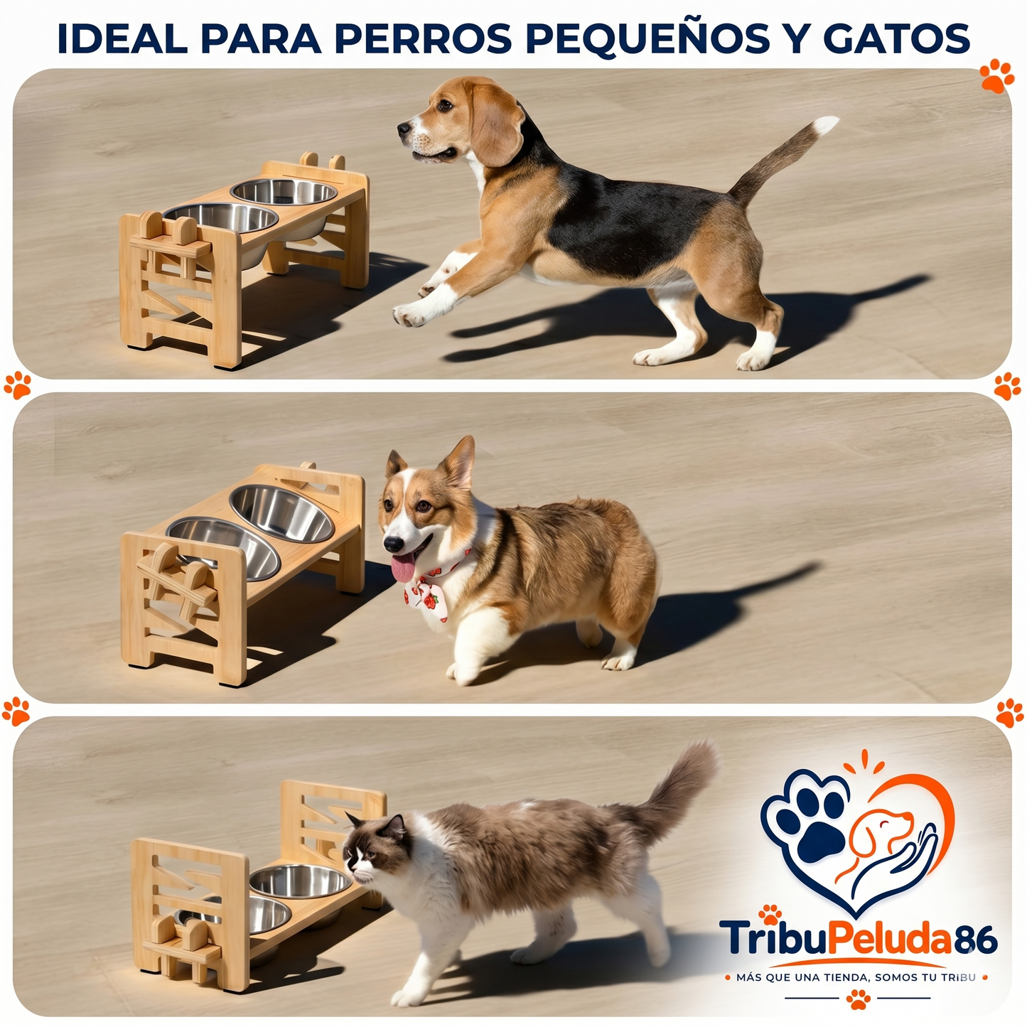 Comedero Elevado para Perros y Gatos con Soporte de Madera, Cuencos de Acero Inoxidable, Base Antideslizante y Ángulo Inclinado