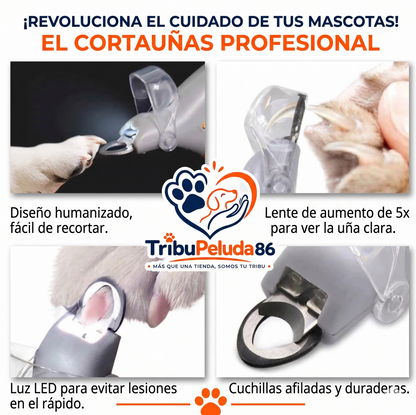 Cortauñas Profesional con Luz LED para Perros y Gatos — Corte Seguro y Preciso