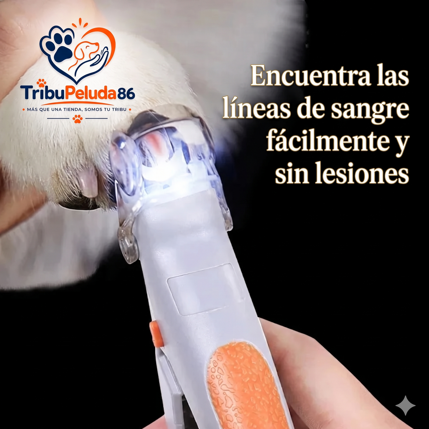 Cortauñas Profesional con Luz LED para Perros y Gatos — Corte Seguro y Preciso