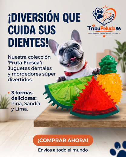 Juguete Mordedor Refrescante para Perros — Alivio Dental para Cachorros en Verano