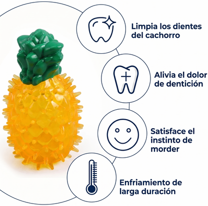 Juguete Mordedor Refrescante para Perros — Alivio Dental para Cachorros en Verano